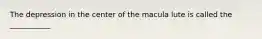 The depression in the center of the macula lute is called the ___________