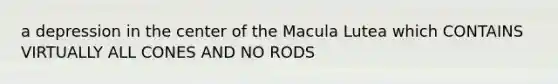 a depression in the center of the Macula Lutea which CONTAINS VIRTUALLY ALL CONES AND NO RODS