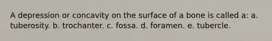 A depression or concavity on the surface of a bone is called a: a. tuberosity. b. trochanter. c. fossa. d. foramen. e. tubercle.