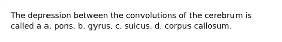 The depression between the convolutions of the cerebrum is called a a. pons. b. gyrus. c. sulcus. d. corpus callosum.