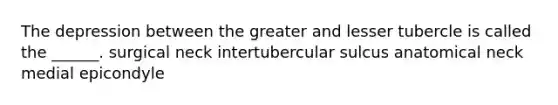 The depression between the greater and lesser tubercle is called the ______. surgical neck intertubercular sulcus anatomical neck medial epicondyle