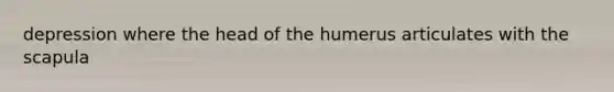 depression where the head of the humerus articulates with the scapula