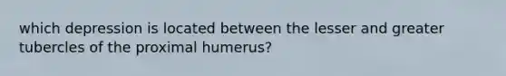 which depression is located between the lesser and greater tubercles of the proximal humerus?