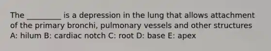 The _________ is a depression in the lung that allows attachment of the primary bronchi, pulmonary vessels and other structures A: hilum B: cardiac notch C: root D: base E: apex