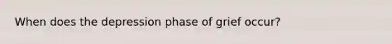 When does the depression phase of grief occur?