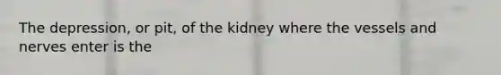 The depression, or pit, of the kidney where the vessels and nerves enter is the