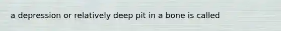 a depression or relatively deep pit in a bone is called