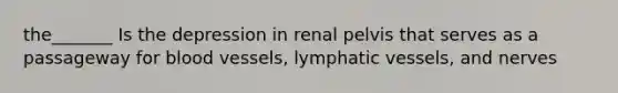 the_______ Is the depression in renal pelvis that serves as a passageway for blood vessels, lymphatic vessels, and nerves