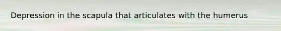 Depression in the scapula that articulates with the humerus
