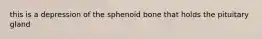 this is a depression of the sphenoid bone that holds the pituitary gland