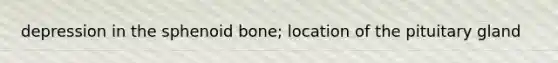 depression in the sphenoid bone; location of the pituitary gland