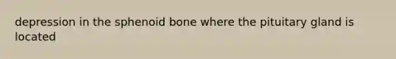 depression in the sphenoid bone where the pituitary gland is located