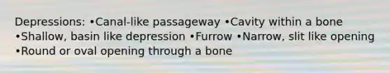 Depressions: •Canal-like passageway •Cavity within a bone •Shallow, basin like depression •Furrow •Narrow, slit like opening •Round or oval opening through a bone