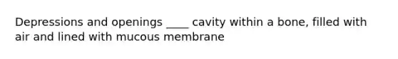 Depressions and openings ____ cavity within a bone, filled with air and lined with mucous membrane