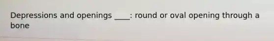 Depressions and openings ____: round or oval opening through a bone