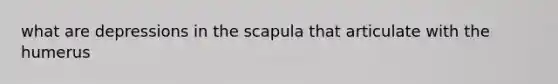 what are depressions in the scapula that articulate with the humerus