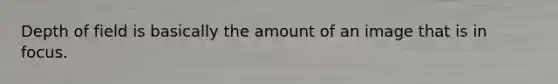 Depth of field is basically the amount of an image that is in focus.