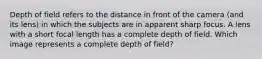 Depth of field refers to the distance in front of the camera (and its lens) in which the subjects are in apparent sharp focus. A lens with a short focal length has a complete depth of field. Which image represents a complete depth of field?