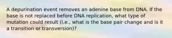 A depurination event removes an adenine base from DNA. If the base is not replaced before DNA replication, what type of mutation could result (i.e., what is the base pair change and is it a transition or transversion)?