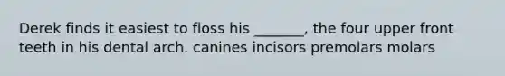 Derek finds it easiest to floss his _______, the four upper front teeth in his dental arch. canines incisors premolars molars