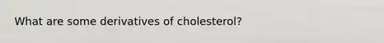 What are some derivatives of cholesterol?