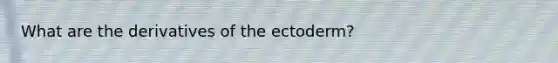 What are the derivatives of the ectoderm?