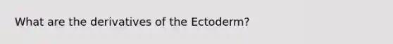 What are the derivatives of the Ectoderm?