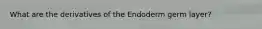 What are the derivatives of the Endoderm germ layer?