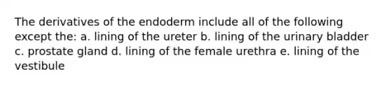 The derivatives of the endoderm include all of the following except the: a. lining of the ureter b. lining of the urinary bladder c. prostate gland d. lining of the female urethra e. lining of the vestibule