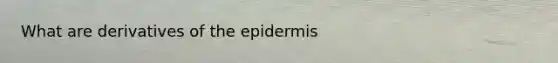 What are derivatives of the epidermis