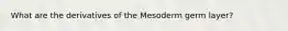 What are the derivatives of the Mesoderm germ layer?