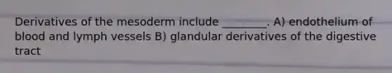 Derivatives of the mesoderm include ________. A) endothelium of blood and lymph vessels B) glandular derivatives of the digestive tract