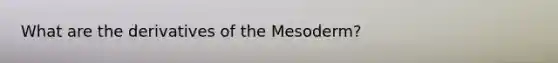 What are the derivatives of the Mesoderm?