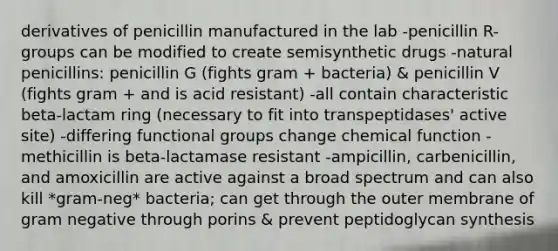 derivatives of penicillin manufactured in the lab -penicillin R-groups can be modified to create semisynthetic drugs -natural penicillins: penicillin G (fights gram + bacteria) & penicillin V (fights gram + and is acid resistant) -all contain characteristic beta-lactam ring (necessary to fit into transpeptidases' active site) -differing functional groups change chemical function -methicillin is beta-lactamase resistant -ampicillin, carbenicillin, and amoxicillin are active against a broad spectrum and can also kill *gram-neg* bacteria; can get through the outer membrane of gram negative through porins & prevent peptidoglycan synthesis