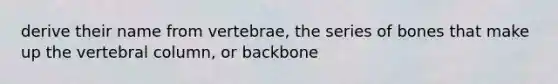 derive their name from vertebrae, the series of bones that make up the vertebral column, or backbone