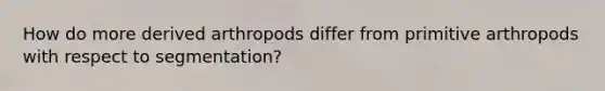 How do more derived arthropods differ from primitive arthropods with respect to segmentation?