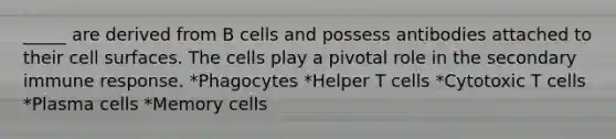 _____ are derived from B cells and possess antibodies attached to their cell surfaces. The cells play a pivotal role in the secondary immune response. *Phagocytes *Helper T cells *Cytotoxic T cells *Plasma cells *Memory cells