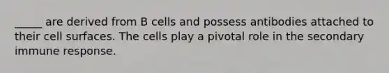 _____ are derived from B cells and possess antibodies attached to their cell surfaces. The cells play a pivotal role in the secondary immune response.