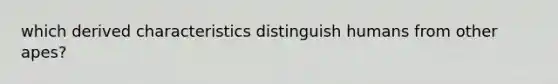 which derived characteristics distinguish humans from other apes?