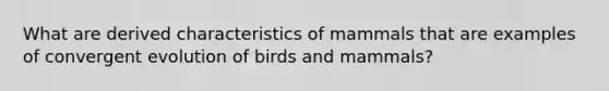 What are derived characteristics of mammals that are examples of convergent evolution of birds and mammals?