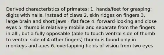 Derived characteristics of primates: 1. hands/feet for grasping; digits with nails, instead of claws 2. skin ridges on fingers 3. large brain and short jaws - flat face 4. forward-looking and close eyes 5. thumb is relatively mobile and separate from the fingers in all , but a fully opposable (able to touch ventral side of thumb to ventral side of 4 other fingers) thumb is found only in monkeys and apes 6. overlapping fields of vision from two eyes