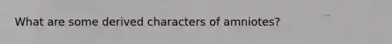 What are some derived characters of amniotes?