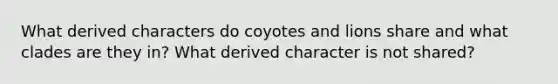 What derived characters do coyotes and lions share and what clades are they in? What derived character is not shared?