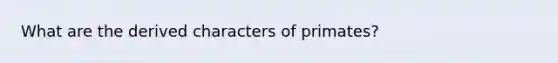 What are the derived characters of primates?