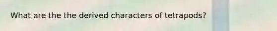 What are the the derived characters of tetrapods?