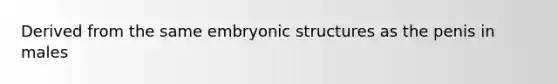 Derived from the same embryonic structures as the penis in males