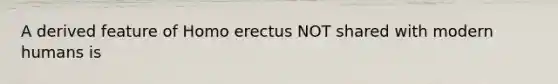 A derived feature of Homo erectus NOT shared with modern humans is