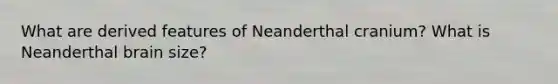 What are derived features of Neanderthal cranium? What is Neanderthal brain size?