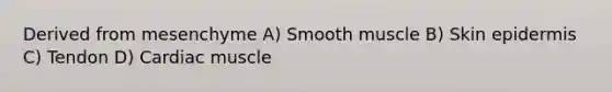 Derived from mesenchyme A) Smooth muscle B) Skin epidermis C) Tendon D) Cardiac muscle