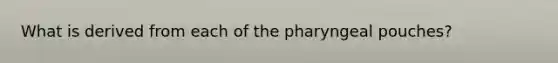 What is derived from each of the pharyngeal pouches?